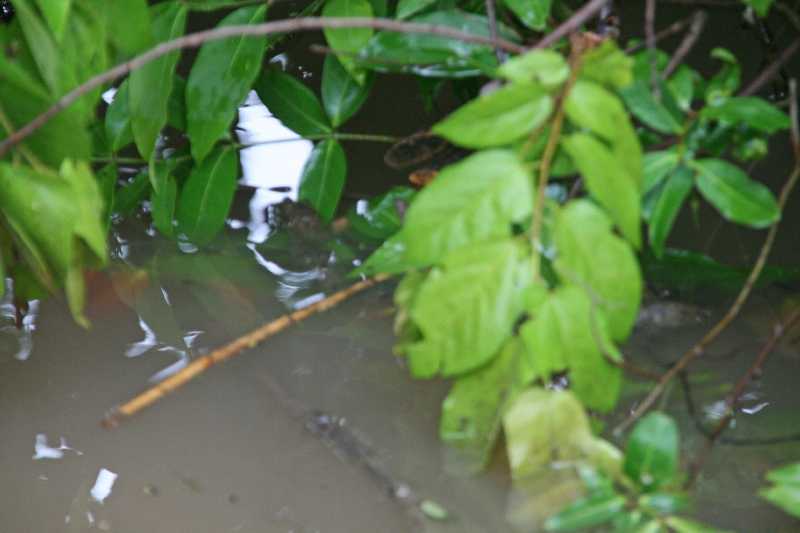 Mexico & Guatemala 2010 - 0348